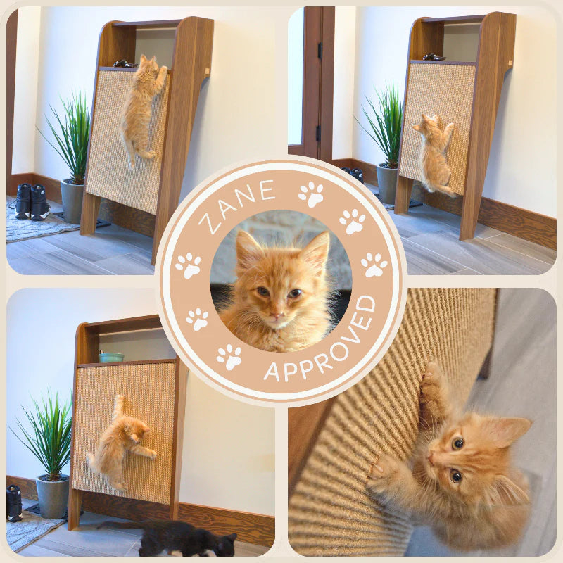 Collage of a cat using a wooden scratching post with 'Zane Approved' label.
