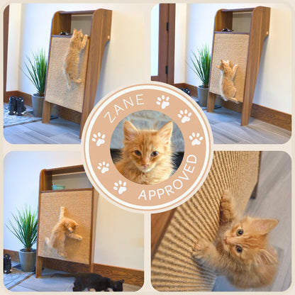 Collage of a cat using a wooden scratching post with 'Zane Approved' label.
