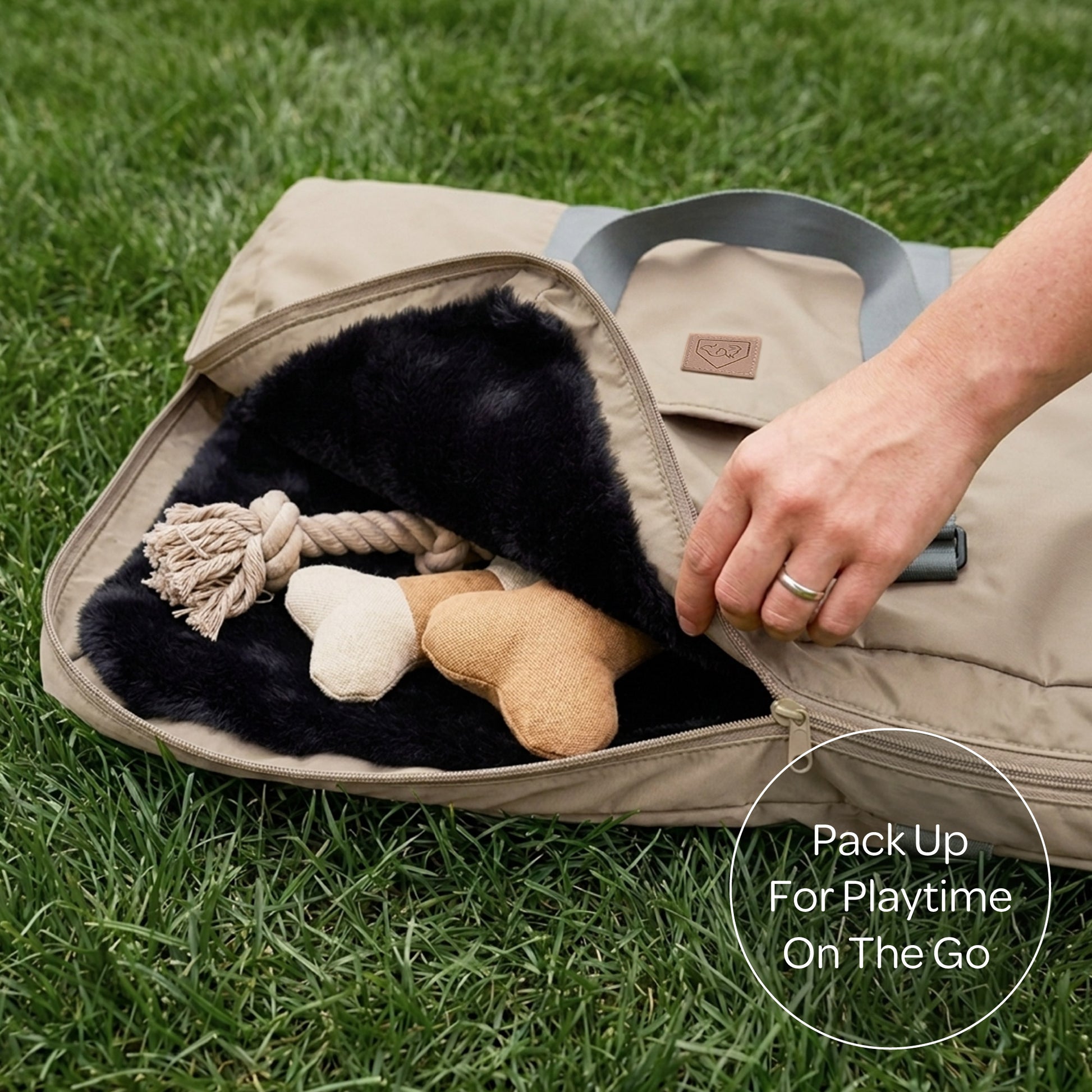 gus travel bed - 4C&D Home Furnishings