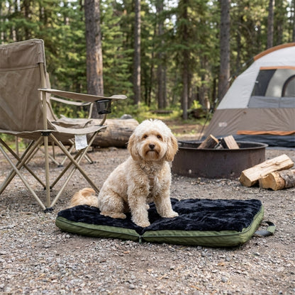gus travel bed - 4C&D Home Furnishings