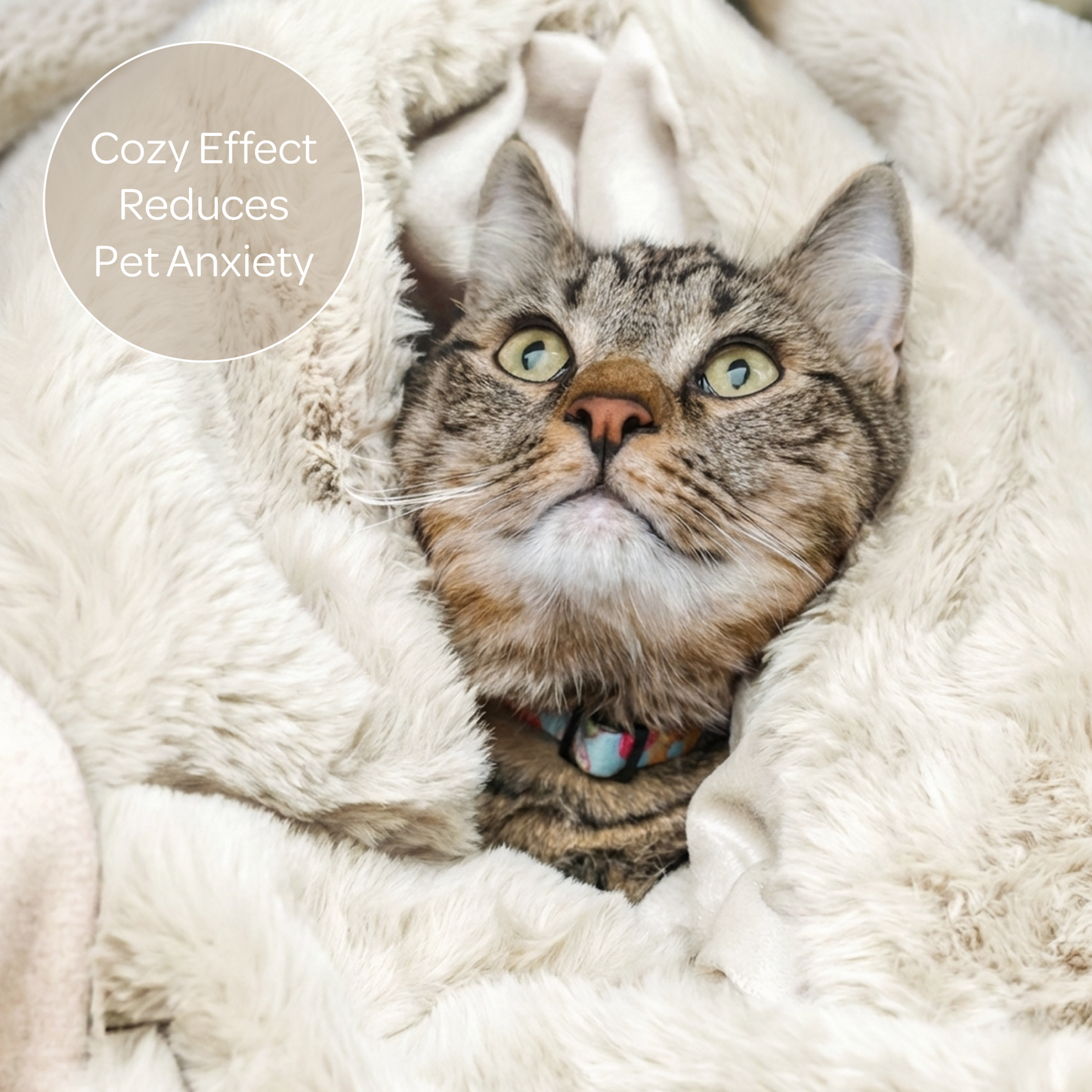 pixie throw - 4C&D Home Furnishings