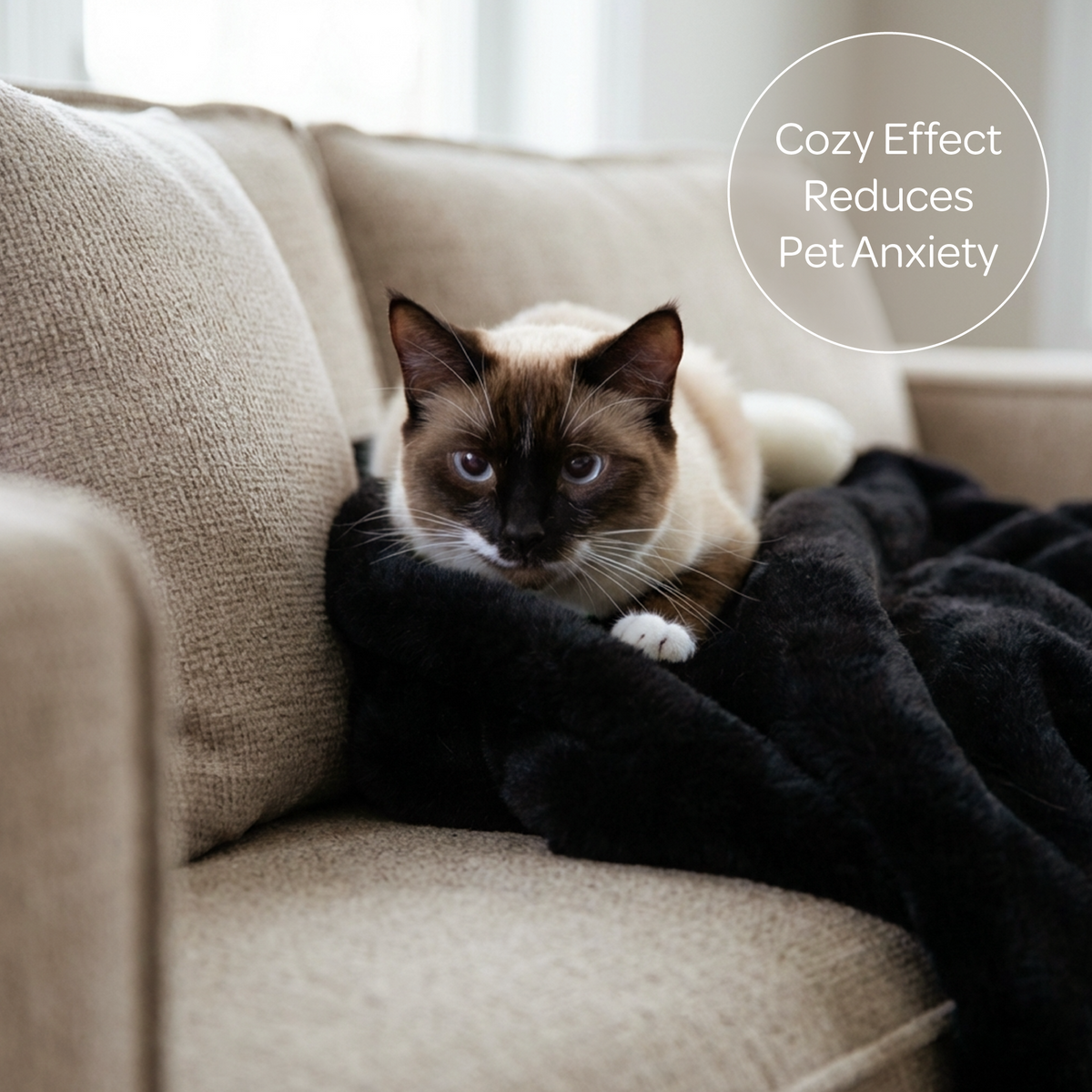 mini pixie throw - 4C&D Home Furnishings