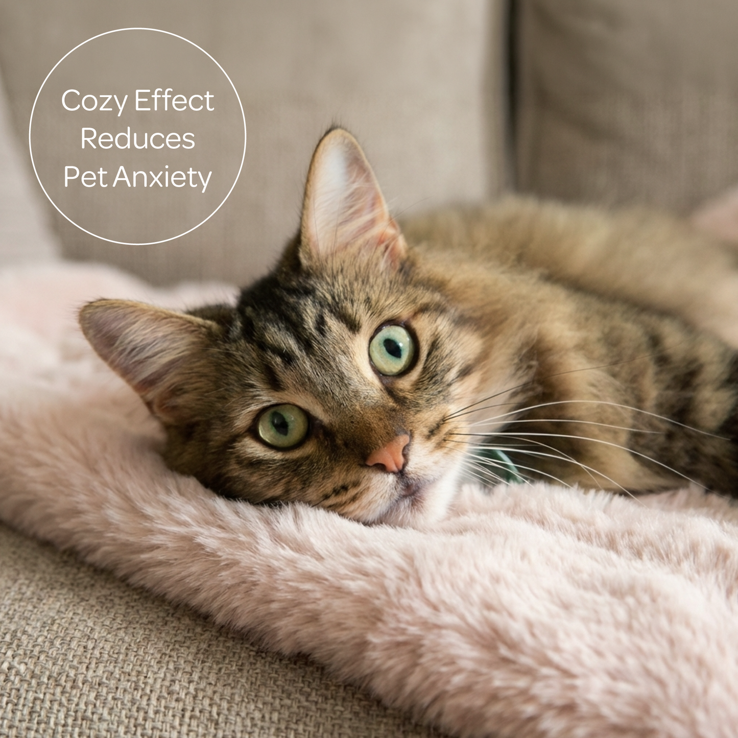 pixie throw - 4C&D Home Furnishings