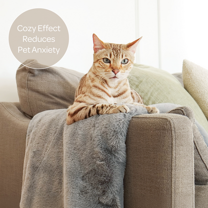 mini pixie throw - 4C&D Home Furnishings