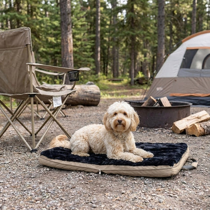 gus travel bed - 4C&D Home Furnishings