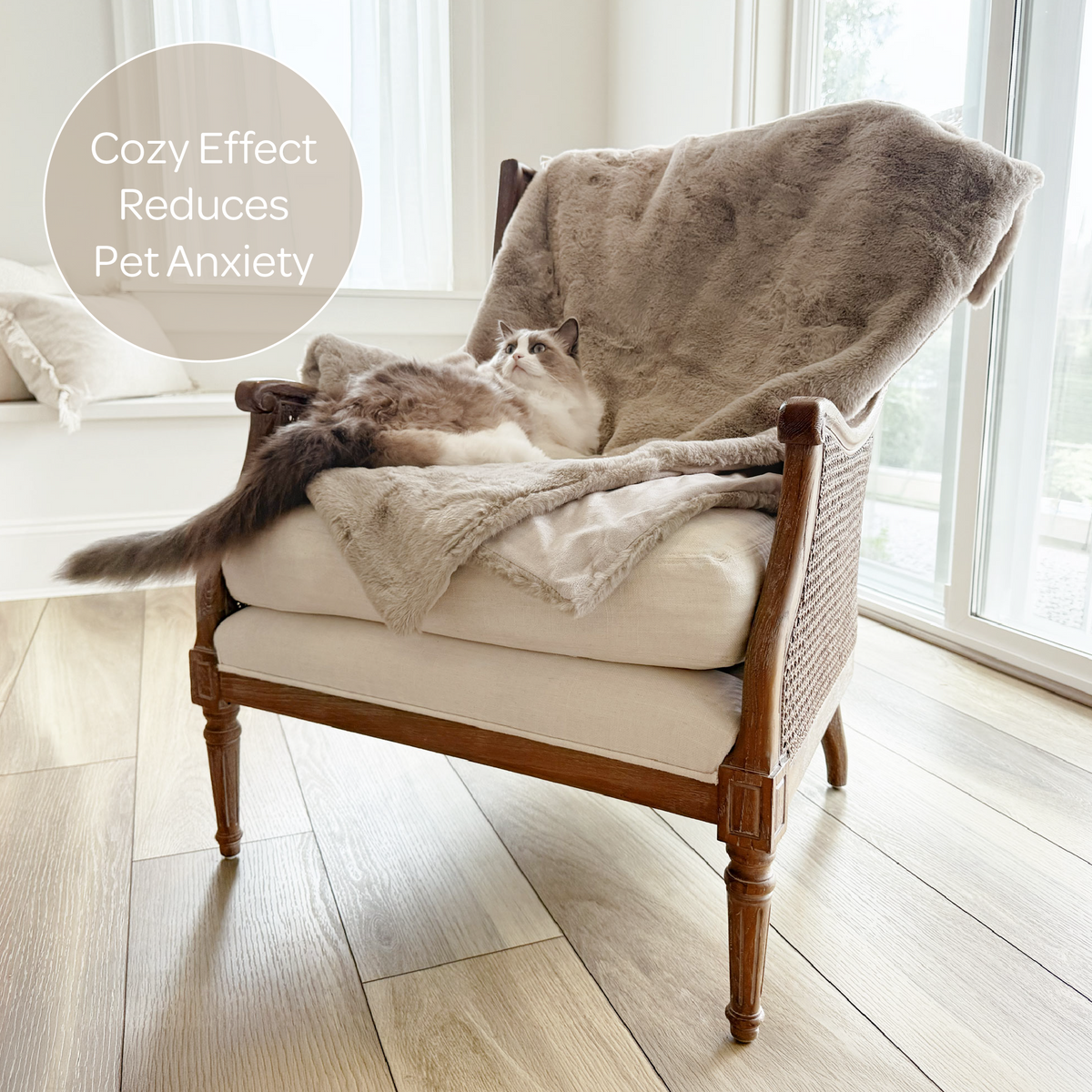 mini pixie throw - 4C&D Home Furnishings