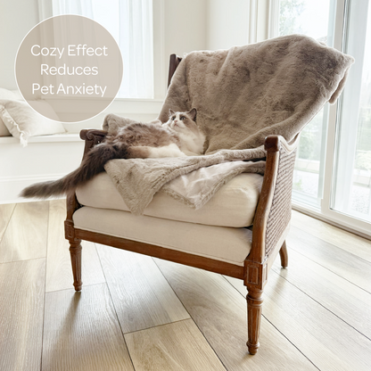 mini pixie throw - 4C&D Home Furnishings