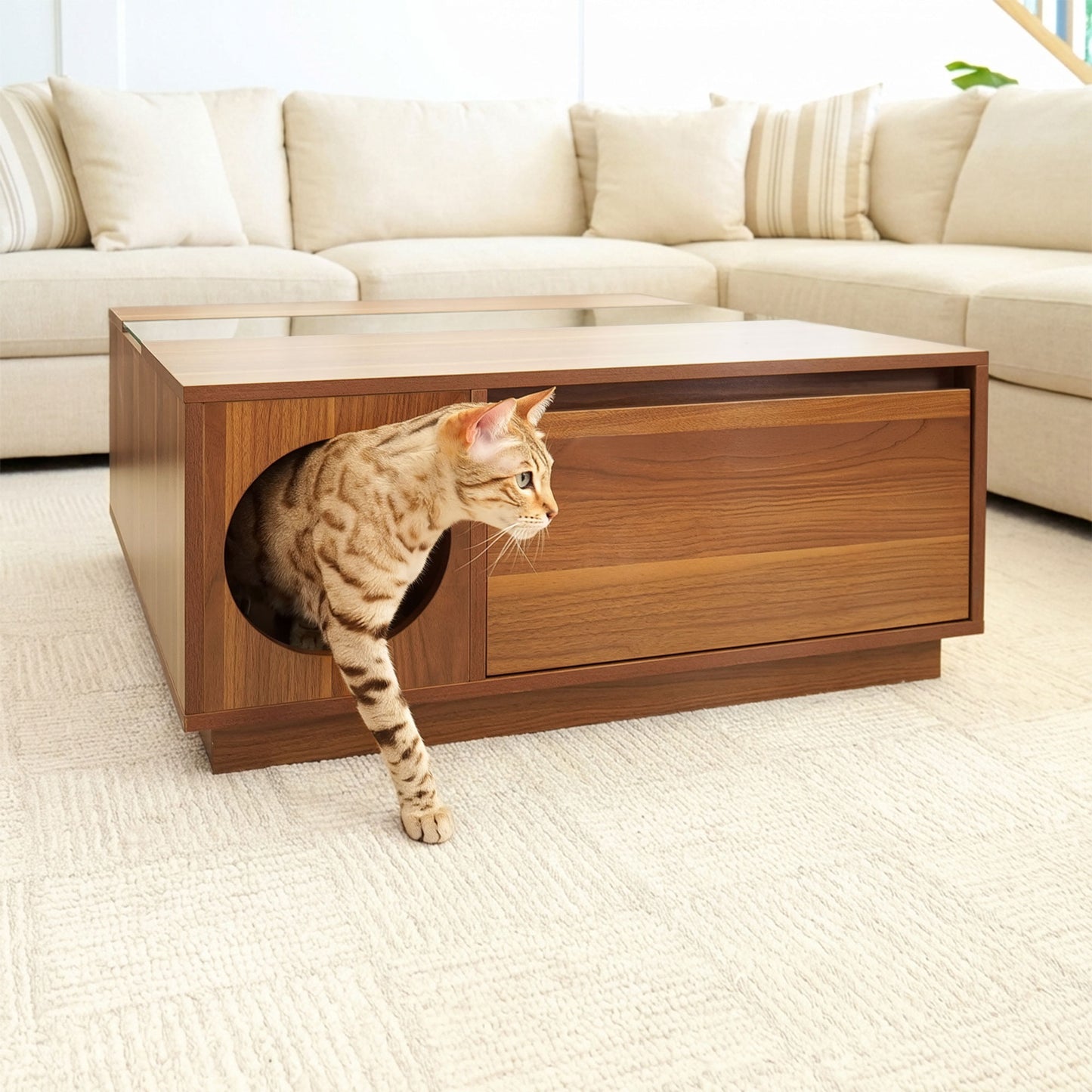 coco coffee table - 4C&D Home Furnishings