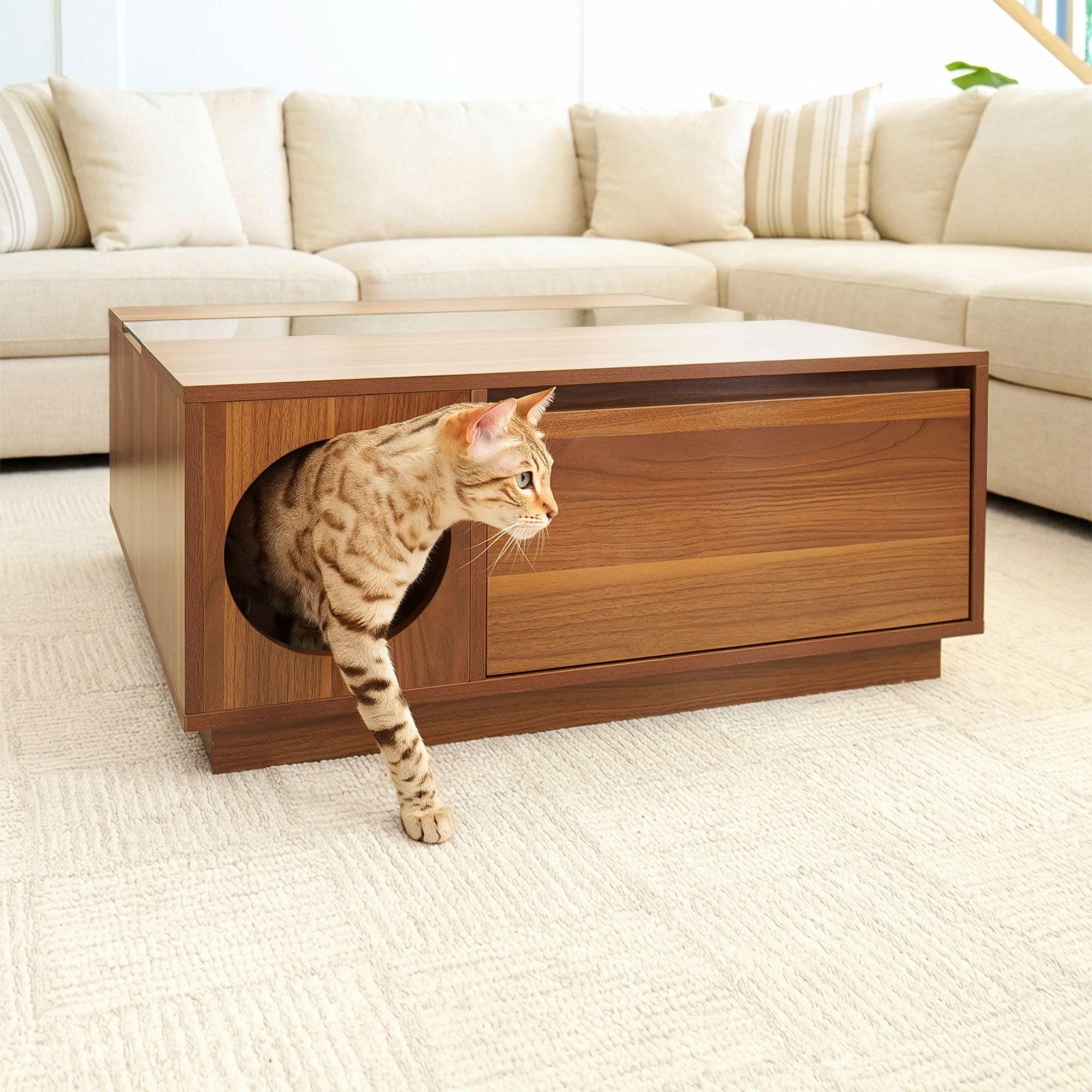 Modern coffee table with built-in pet lounge and glass top