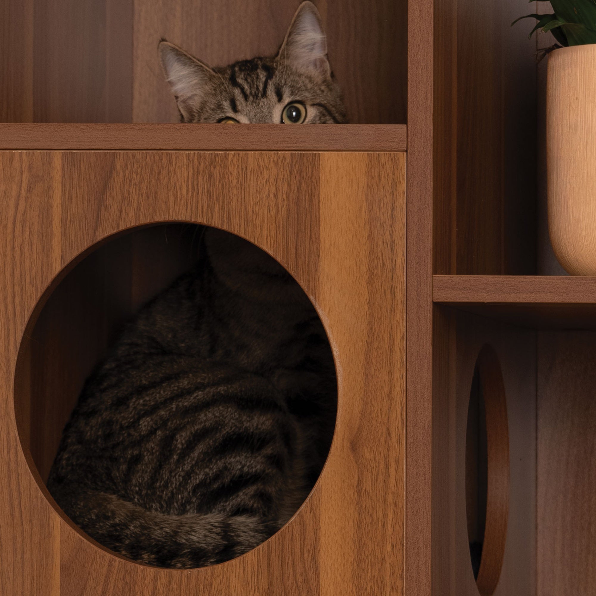 Compact Design. Full Function.