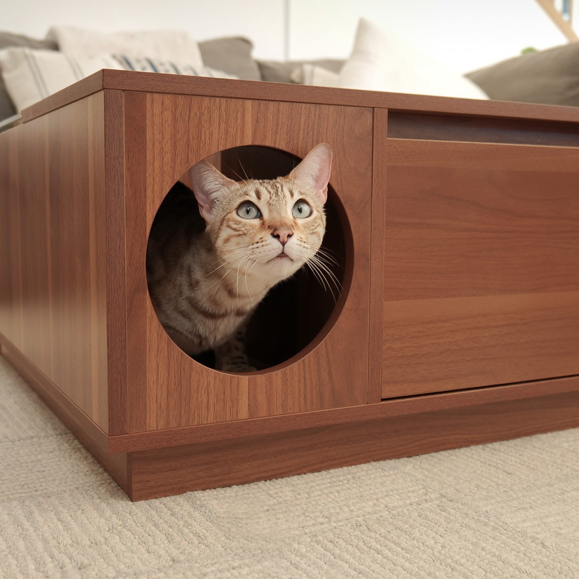 coco | modern coffee table | 4 Cats & Dogs Home Furnishings
