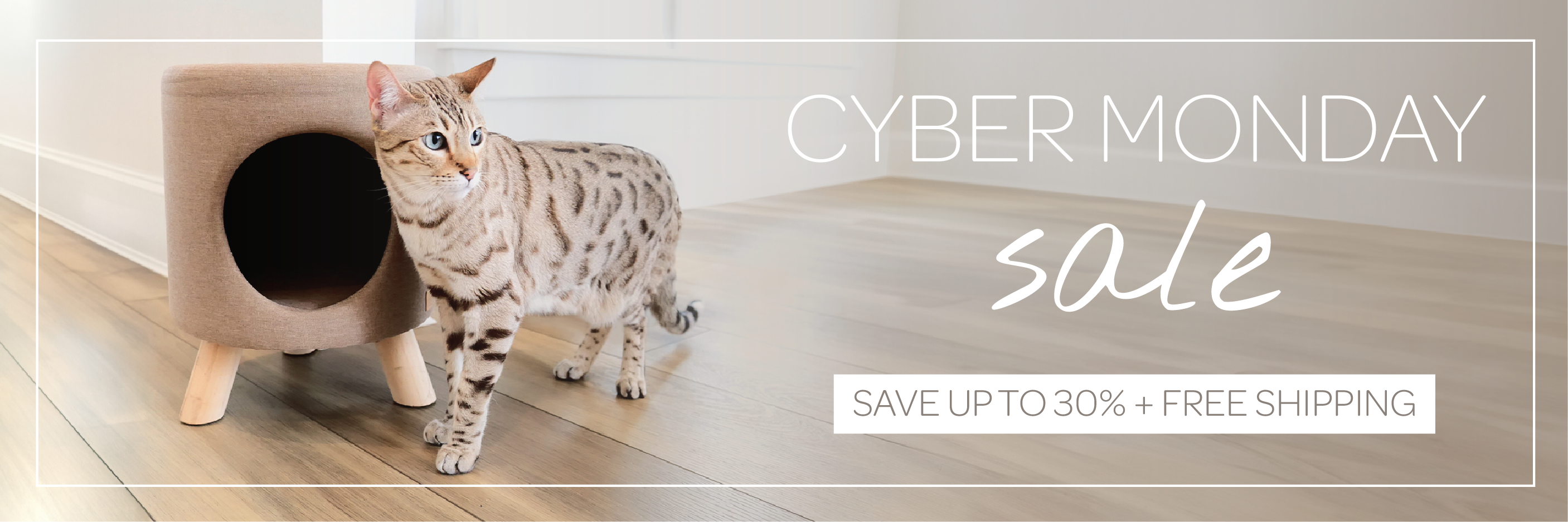 Cat standing next to a cat house with 'Cyber Monday sale' text overlay