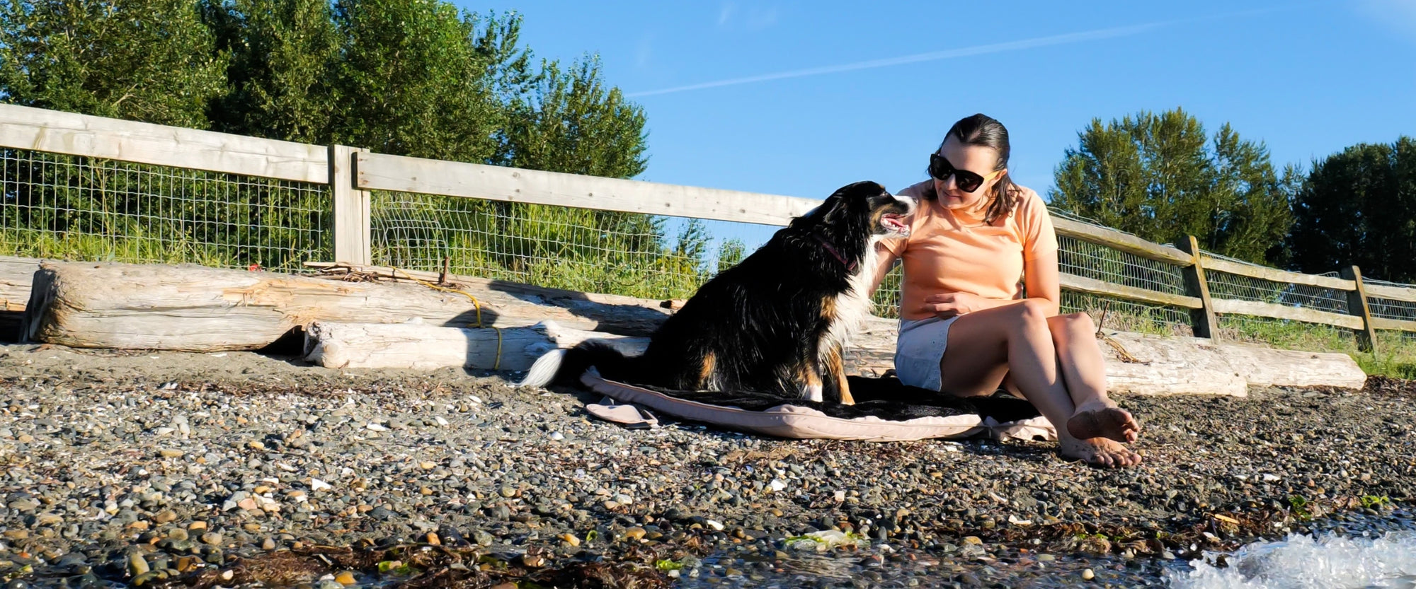 Compact travel pet bed for camping and on-the-go use