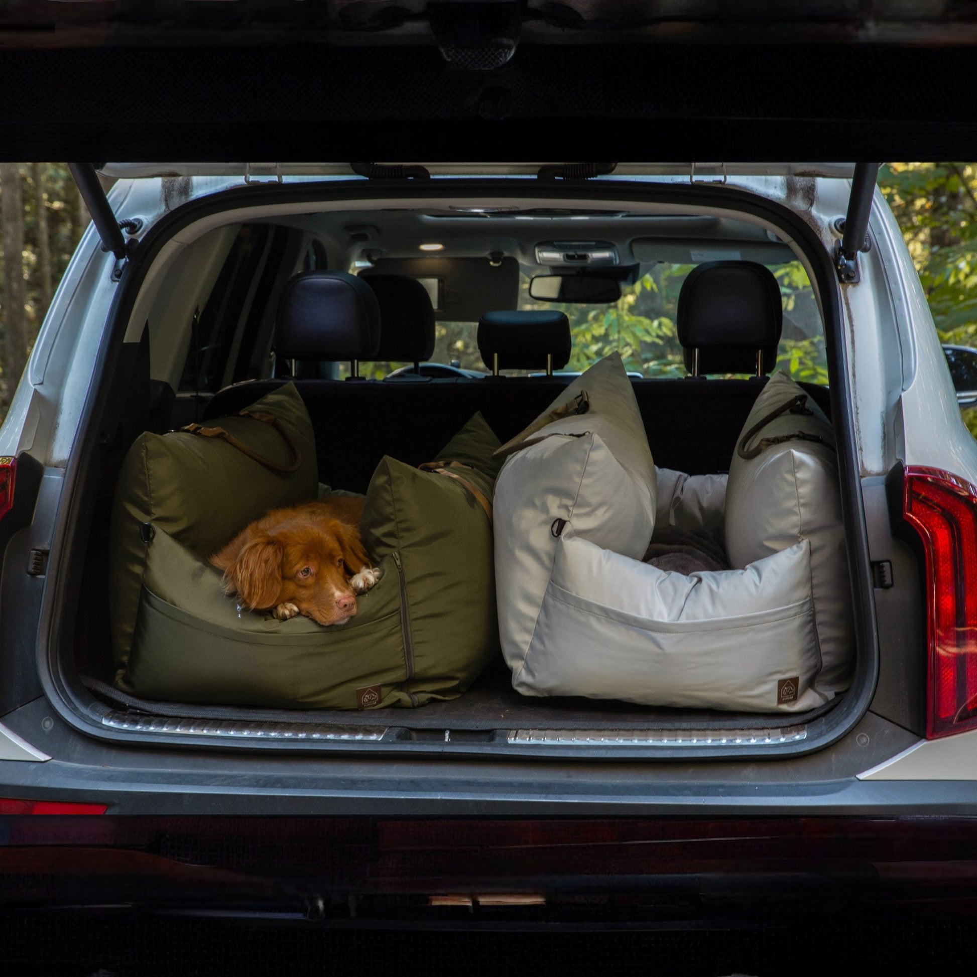 marco travel pet bed - 4 Cats & Dogs Home Furnishings Inc
