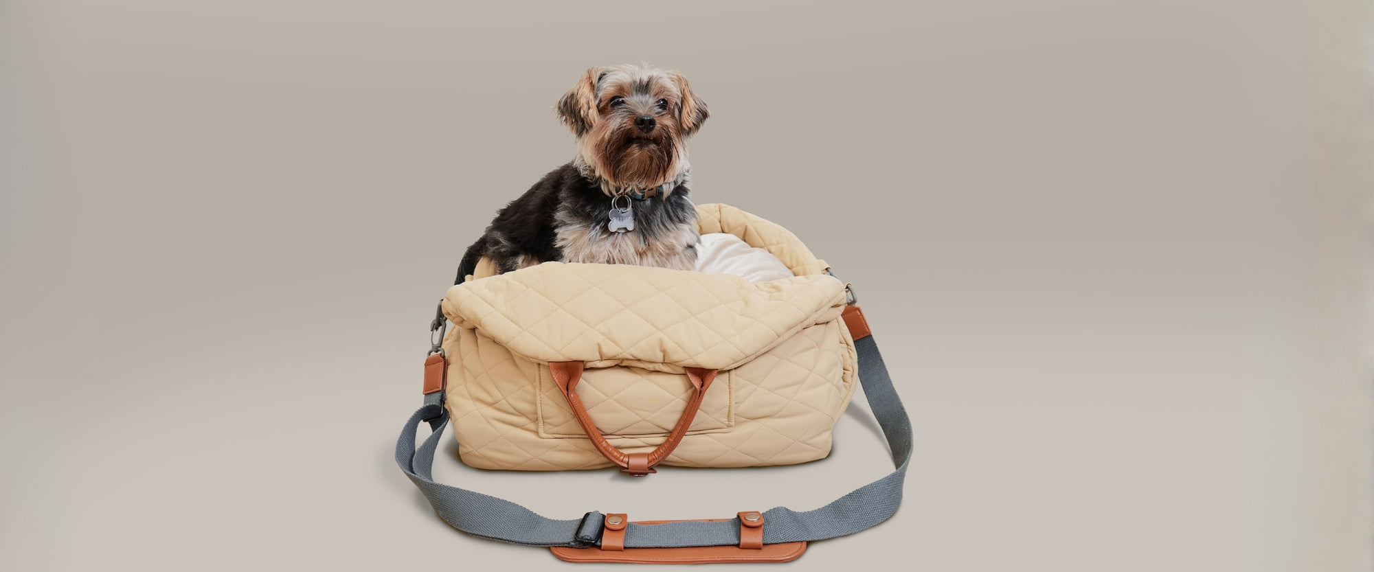 Compact quilted pet travel bed for small dogs or cats