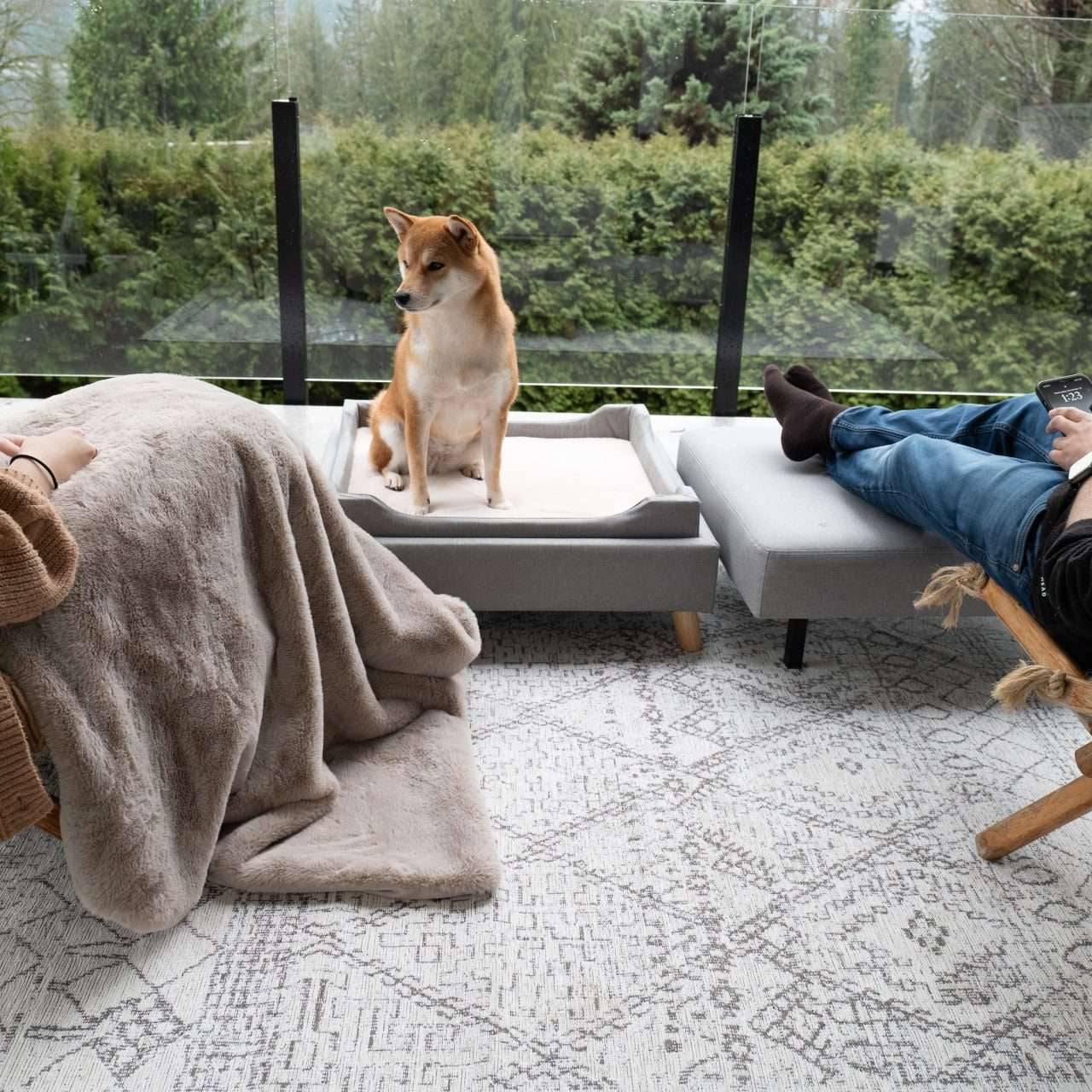 A Pet Bed That Lives in Your Space
