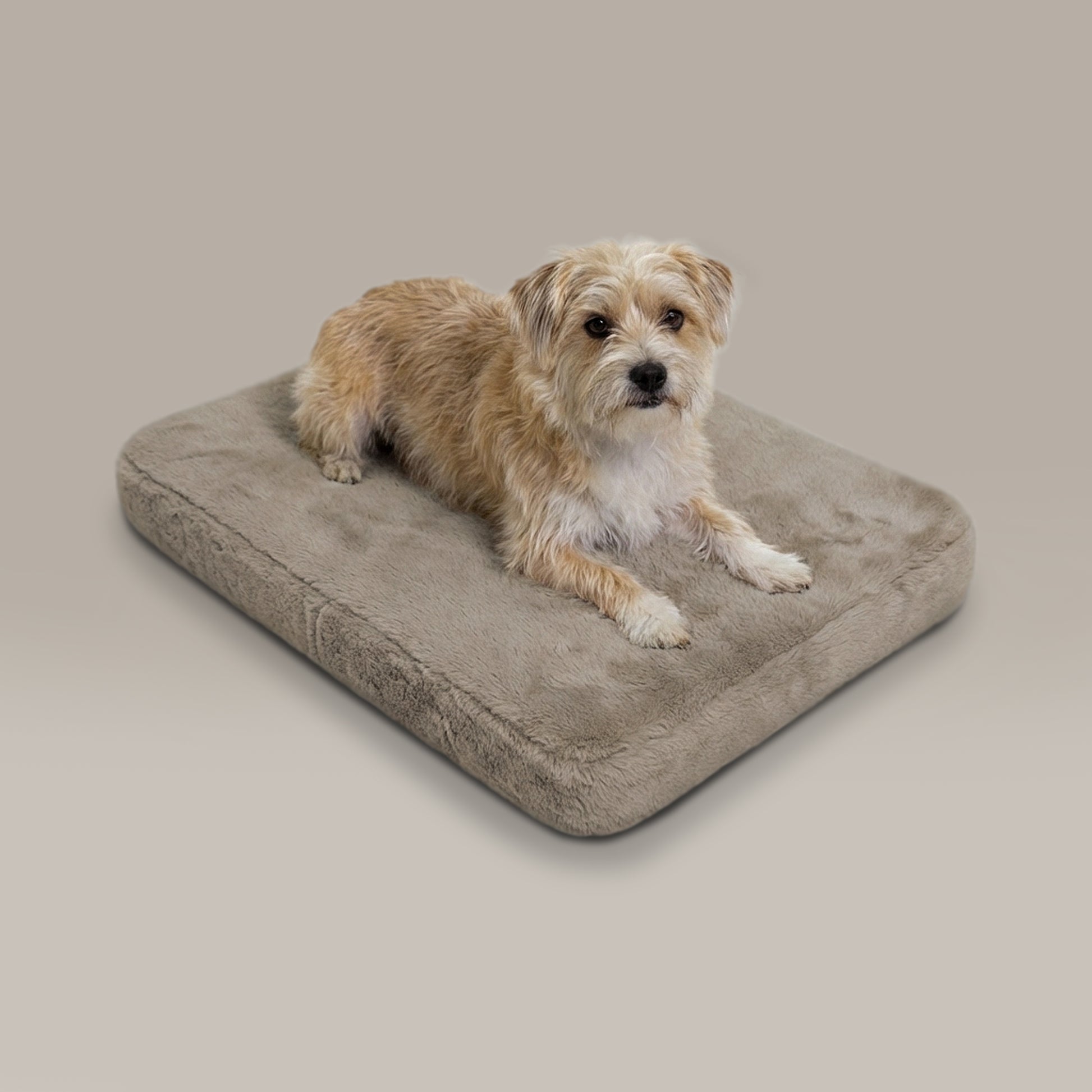 pixie pad leak-resistant dog bed - 4C&D Home Furnishings