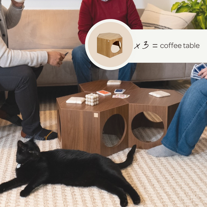 suki cat stool and shelf - 4C&D Home Furnishings