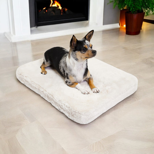 Pixie Pad Leakproof Dog Bed - 4C&D Home Furnishings