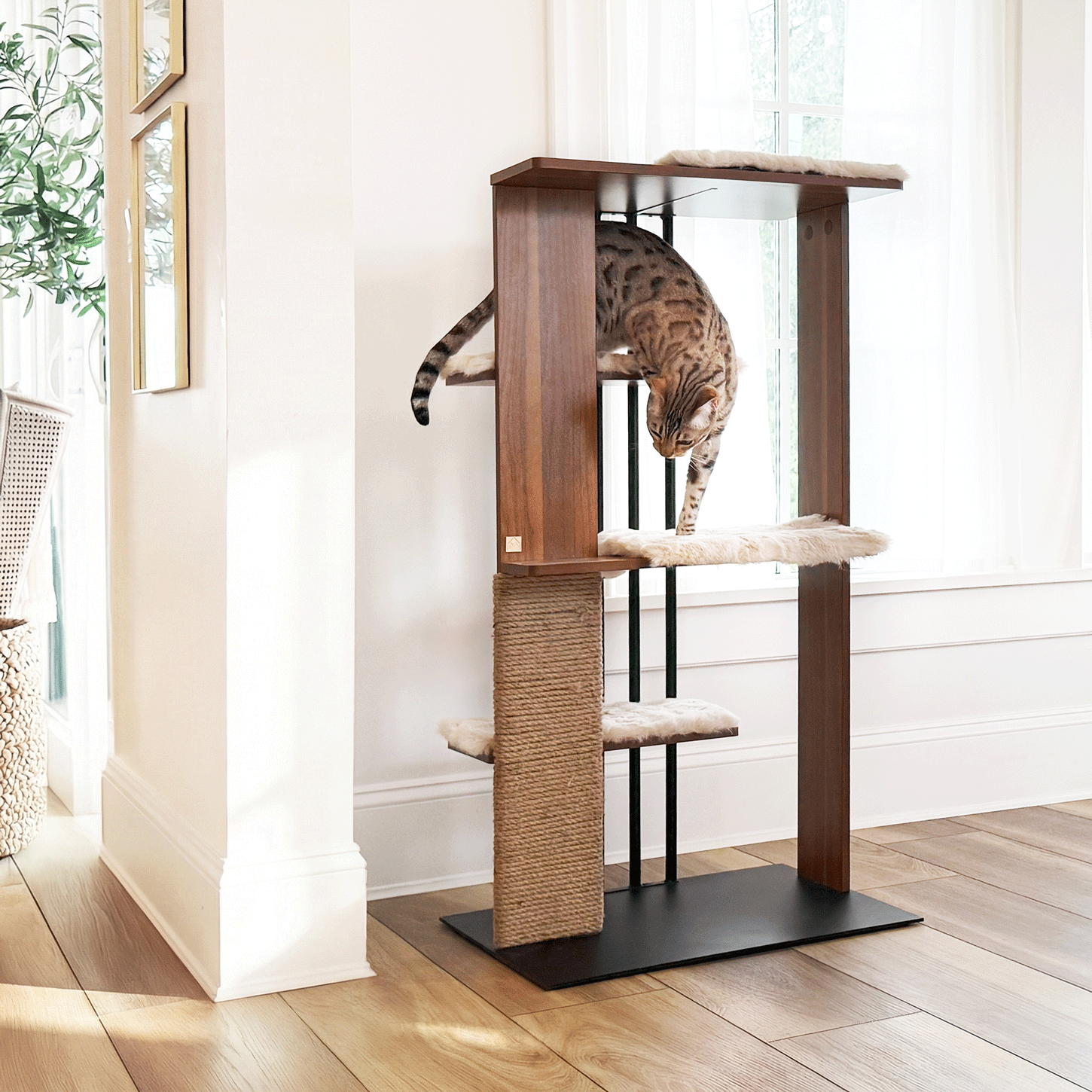 cali cat tree - 4C&D Home Furnishings