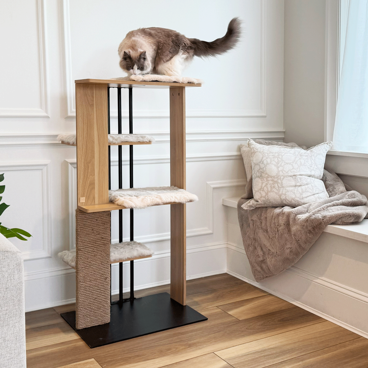 cali cat tree - 4C&D Home Furnishings
