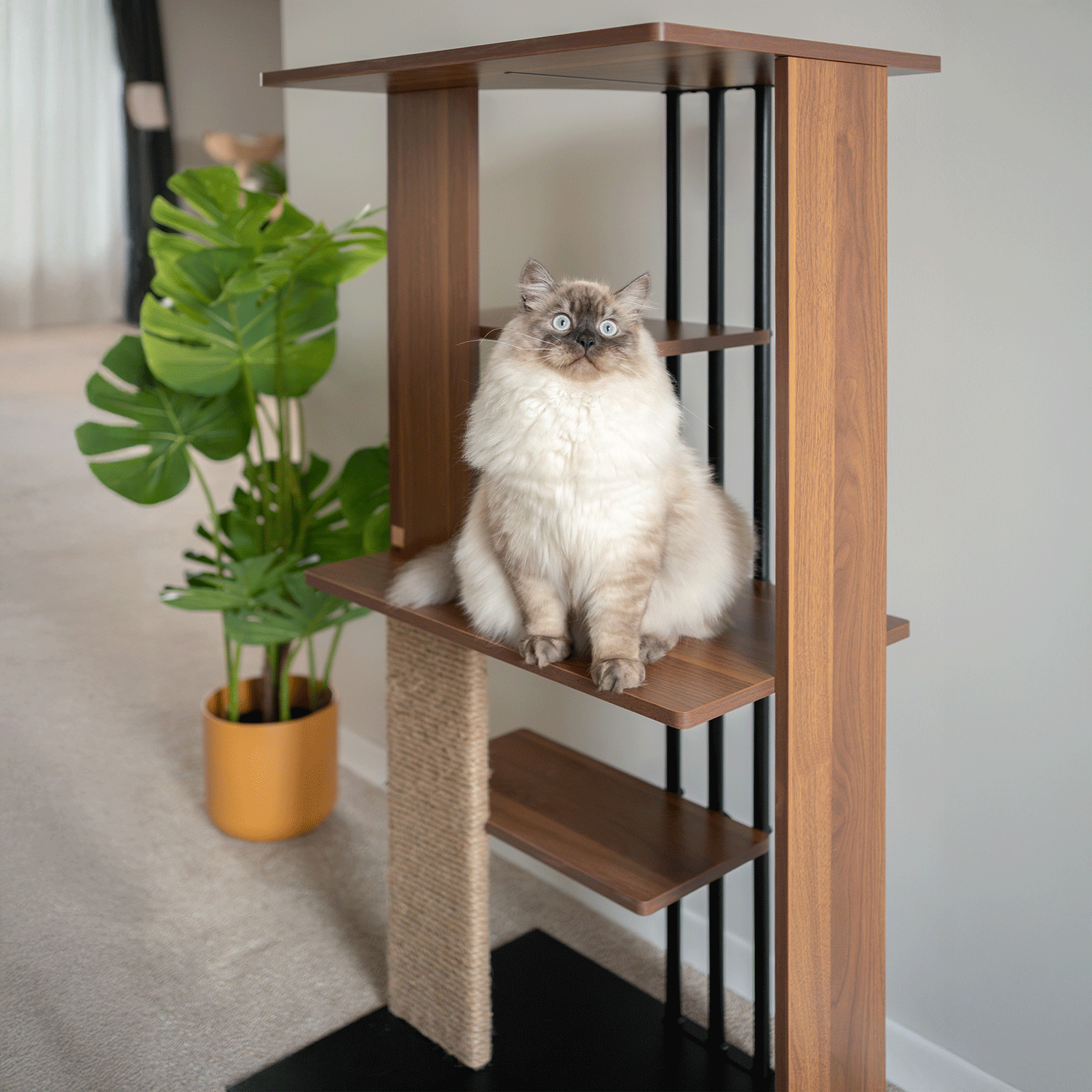 cali cat tree - 4C&D Home Furnishings