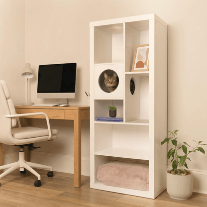 cliff jr.- cat tree bookshelf - 4C&D Home Furnishings