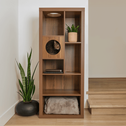 cliff jr.- cat tree bookshelf - 4C&D Home Furnishings