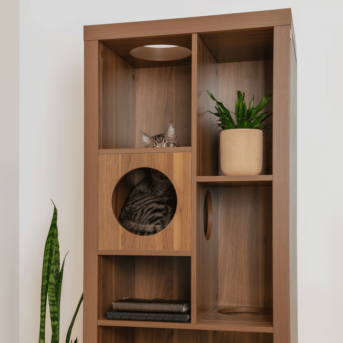 cliff jr.- cat tree bookshelf - 4C&D Home Furnishings
