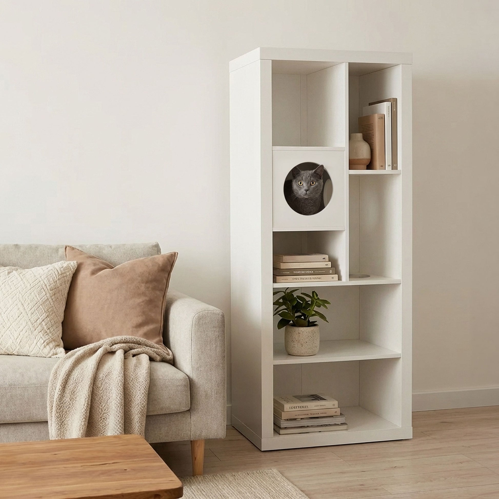 cliff jr.- cat tree bookshelf - 4C&D Home Furnishings