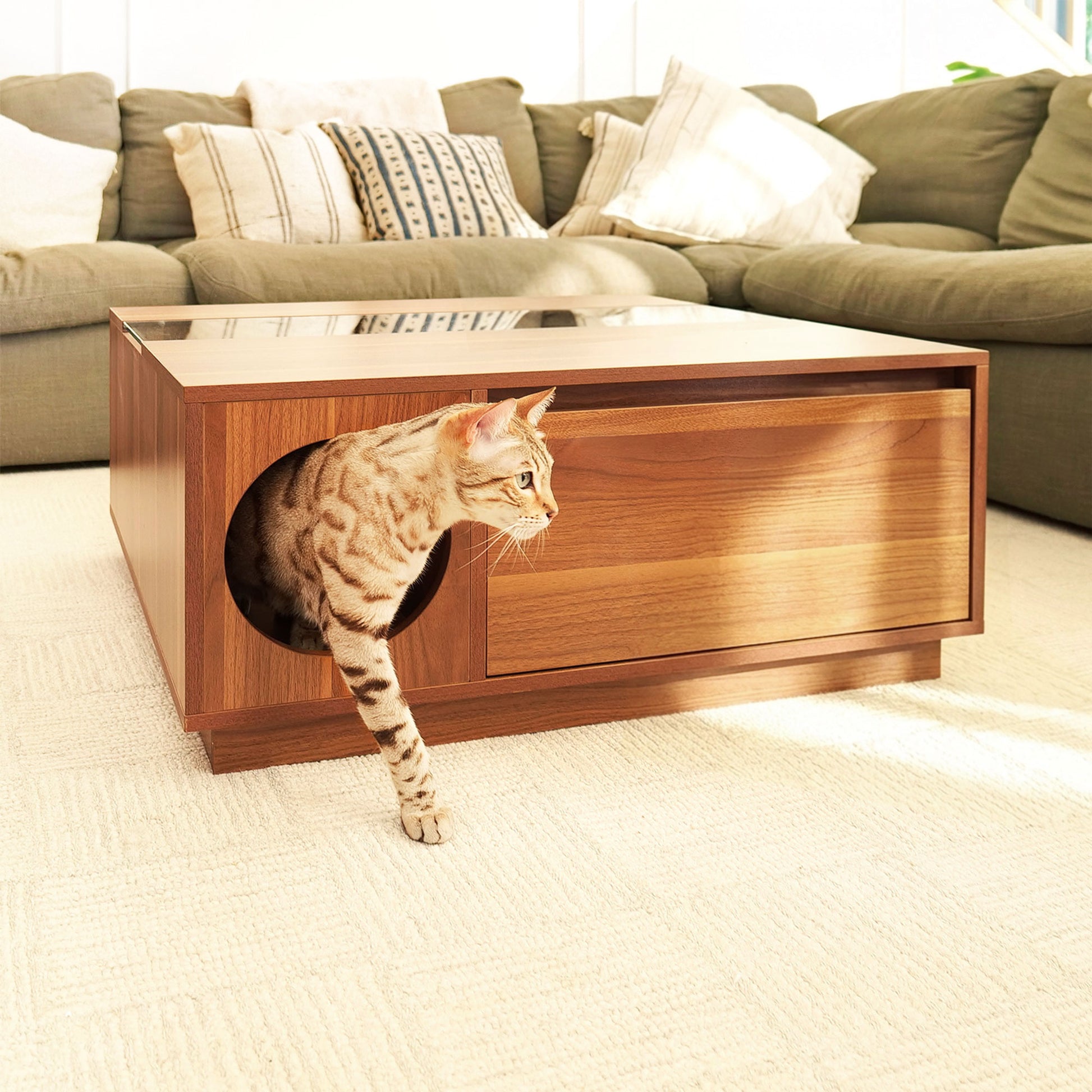 coco coffee table - 4C&D Home Furnishings