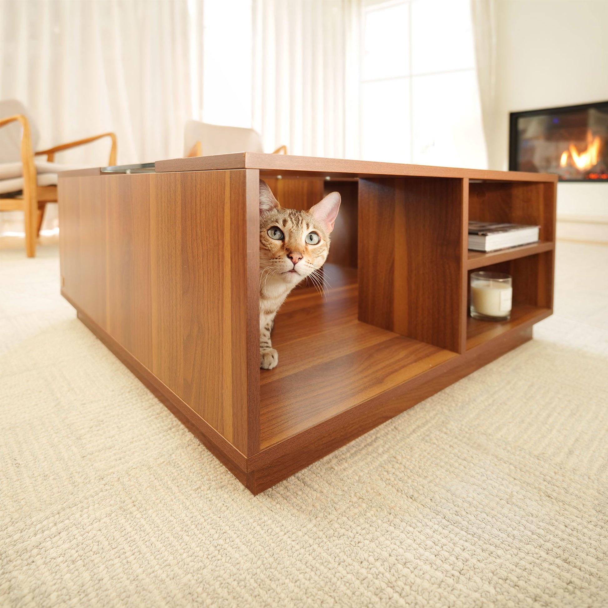 coco coffee table - 4C&D Home Furnishings