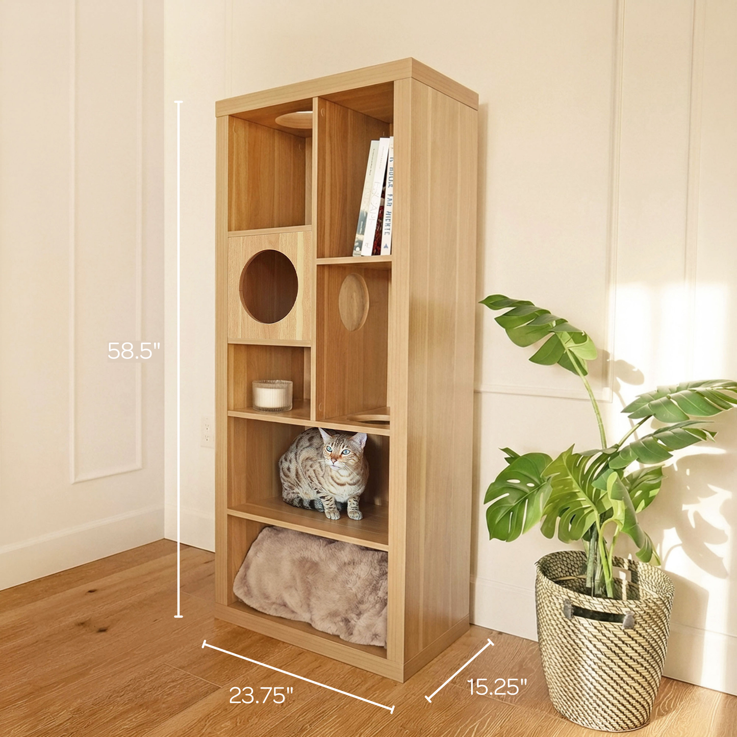 cliff jr.- cat tree bookshelf - 4C&D Home Furnishings