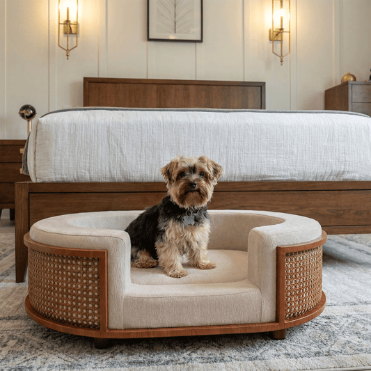 gracie rattan bed - 4C&D Home Furnishings