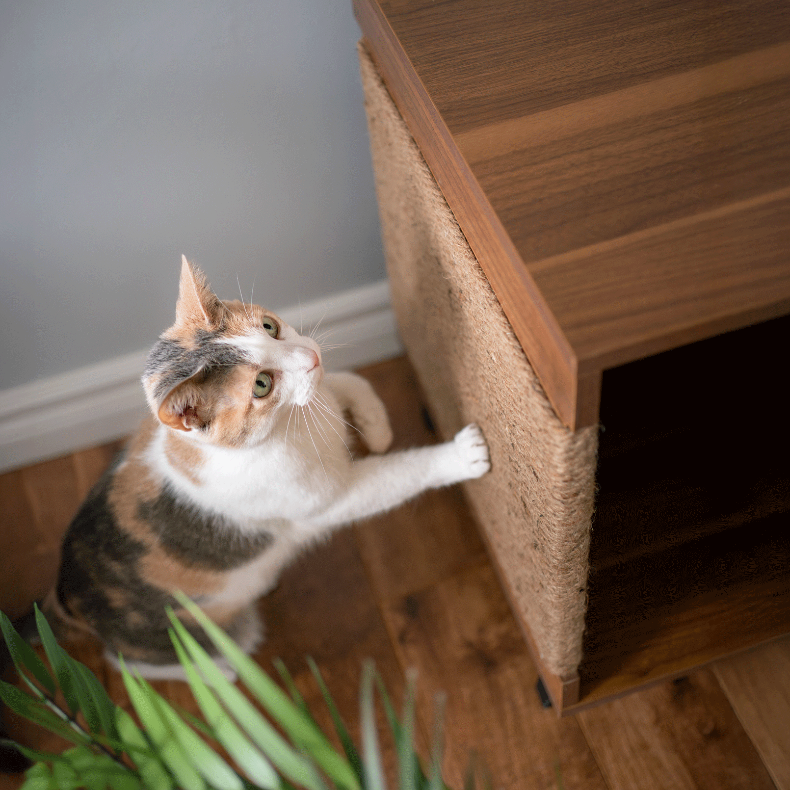 jessie litter cabinet - 4C&D Home Furnishings