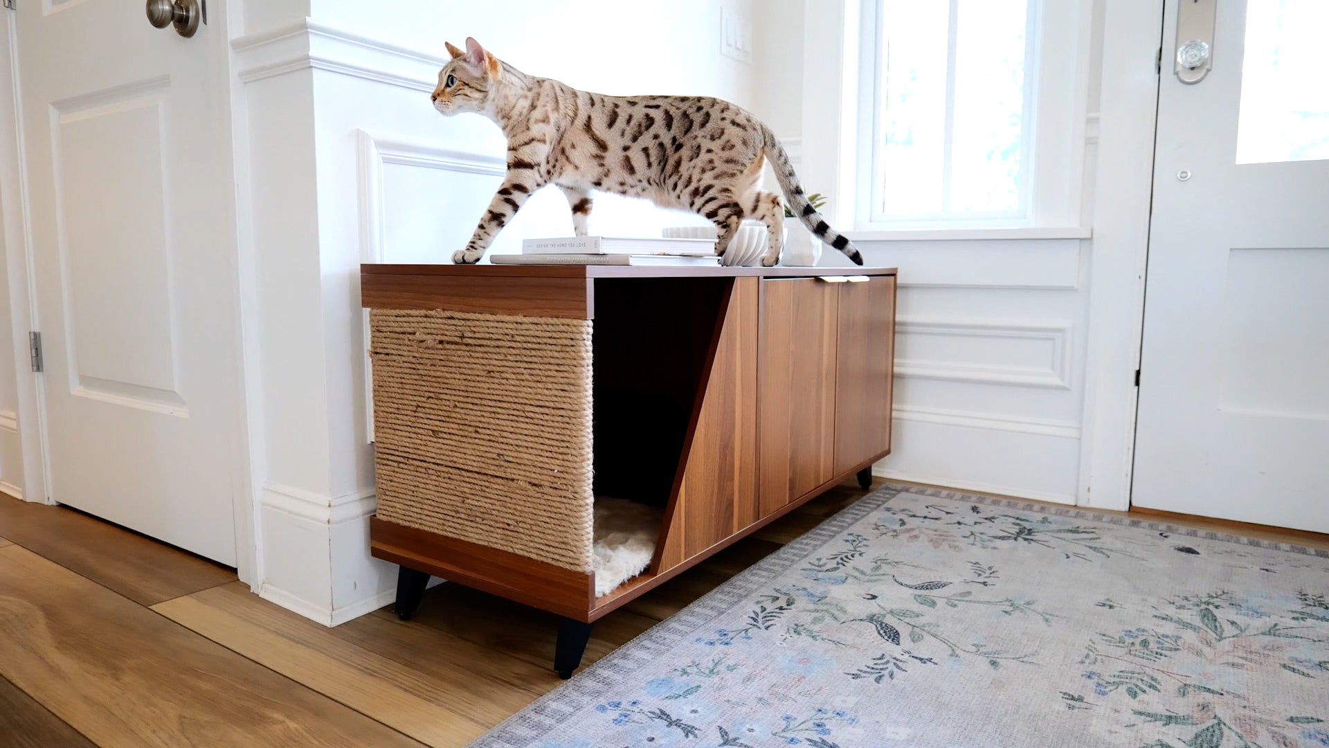 A Litter Cabinet That Works Beyond the Litter Box