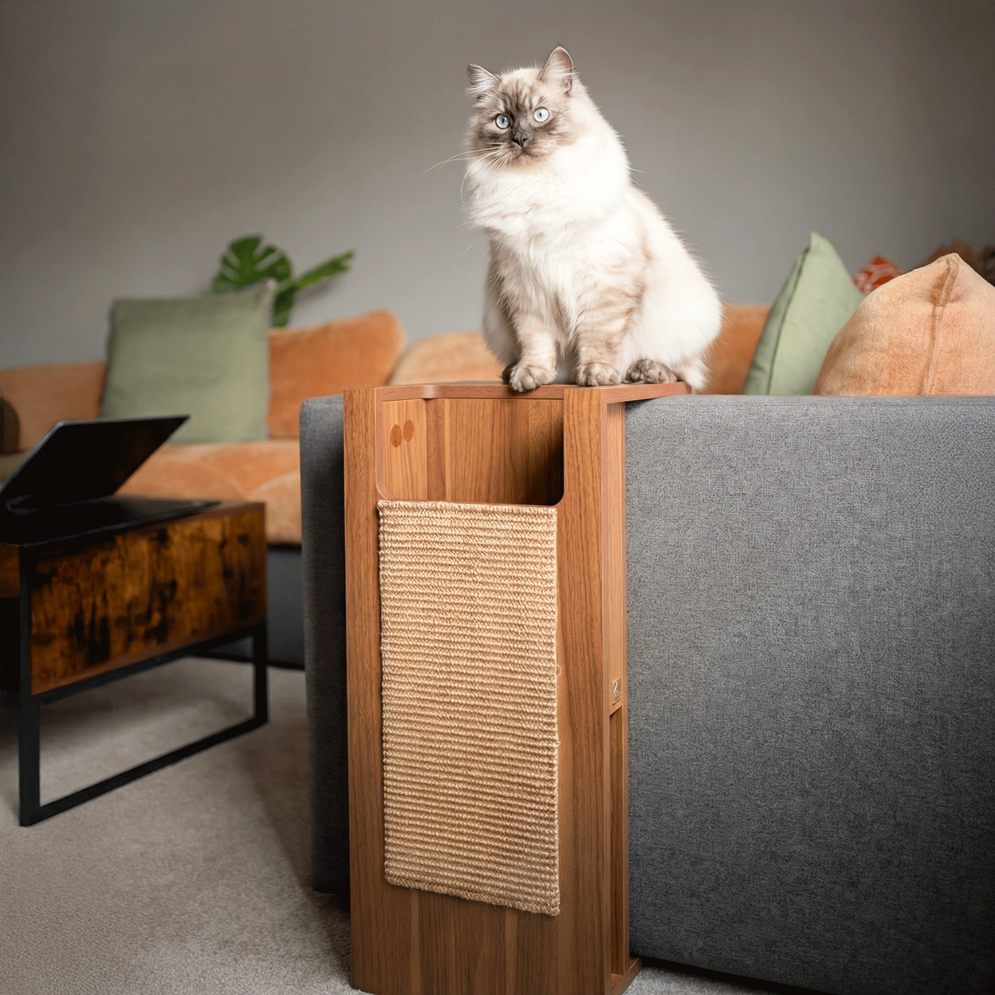 A Side Table That Works for You and Your Cat