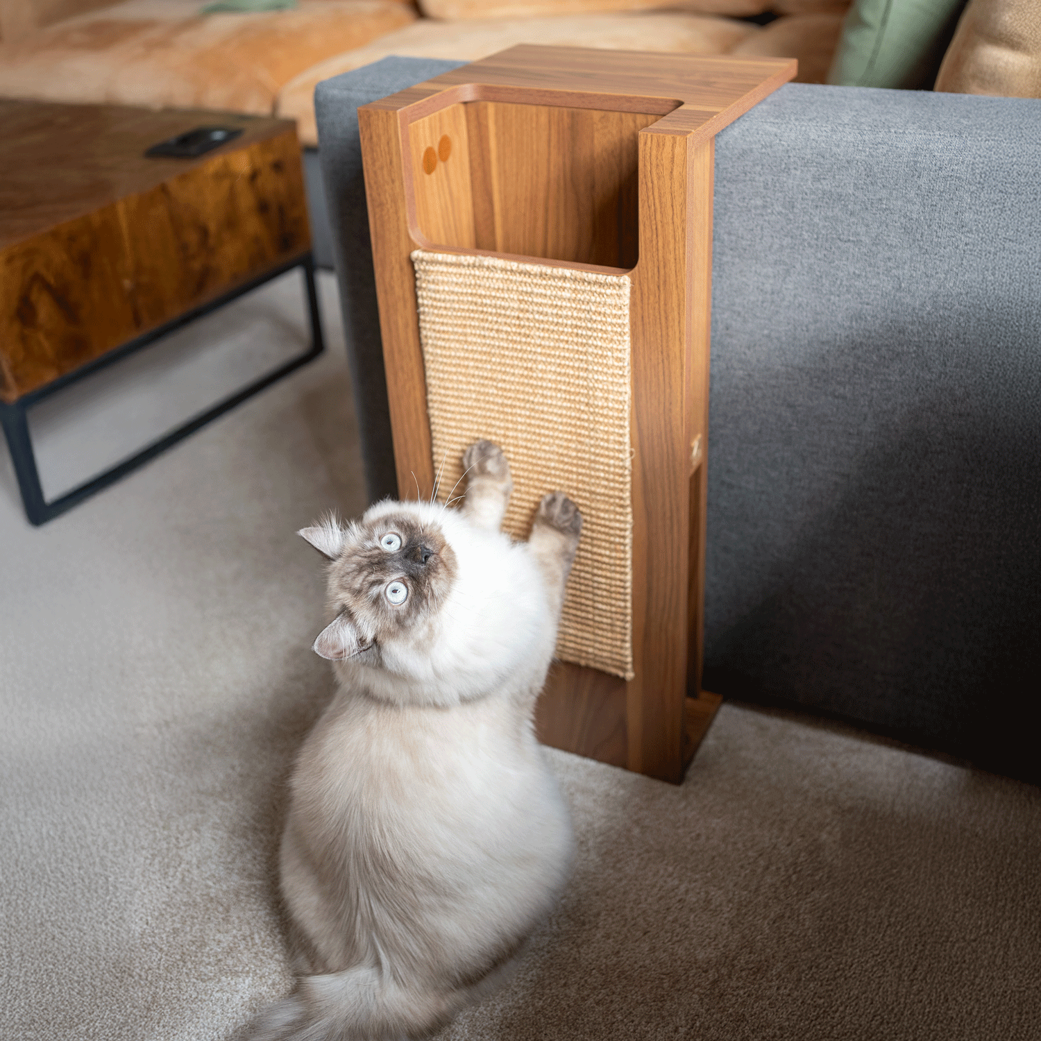 jewl nesting table + scratcher - 4C&D Home Furnishings