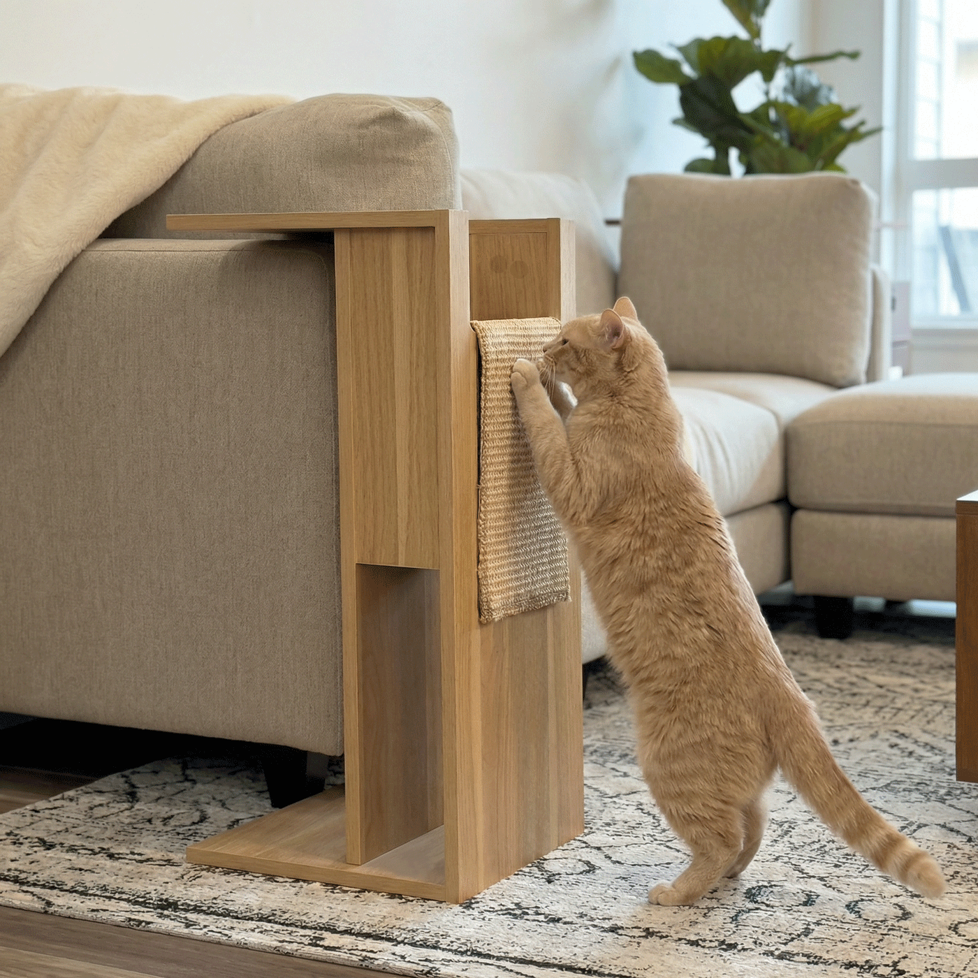 jewl nesting table + scratcher - 4C&D Home Furnishings
