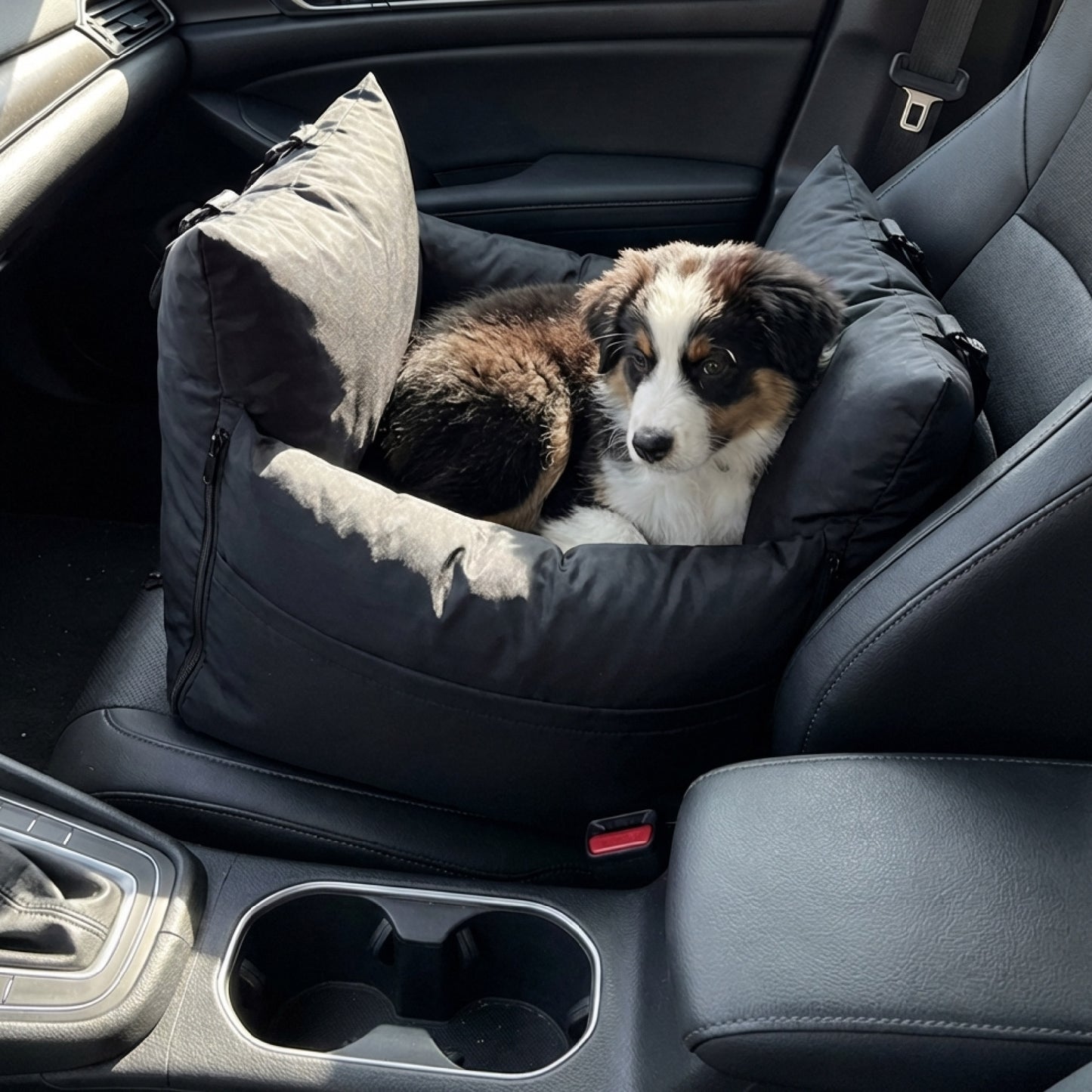 marco travel pet bed - 4C&D Home Furnishings