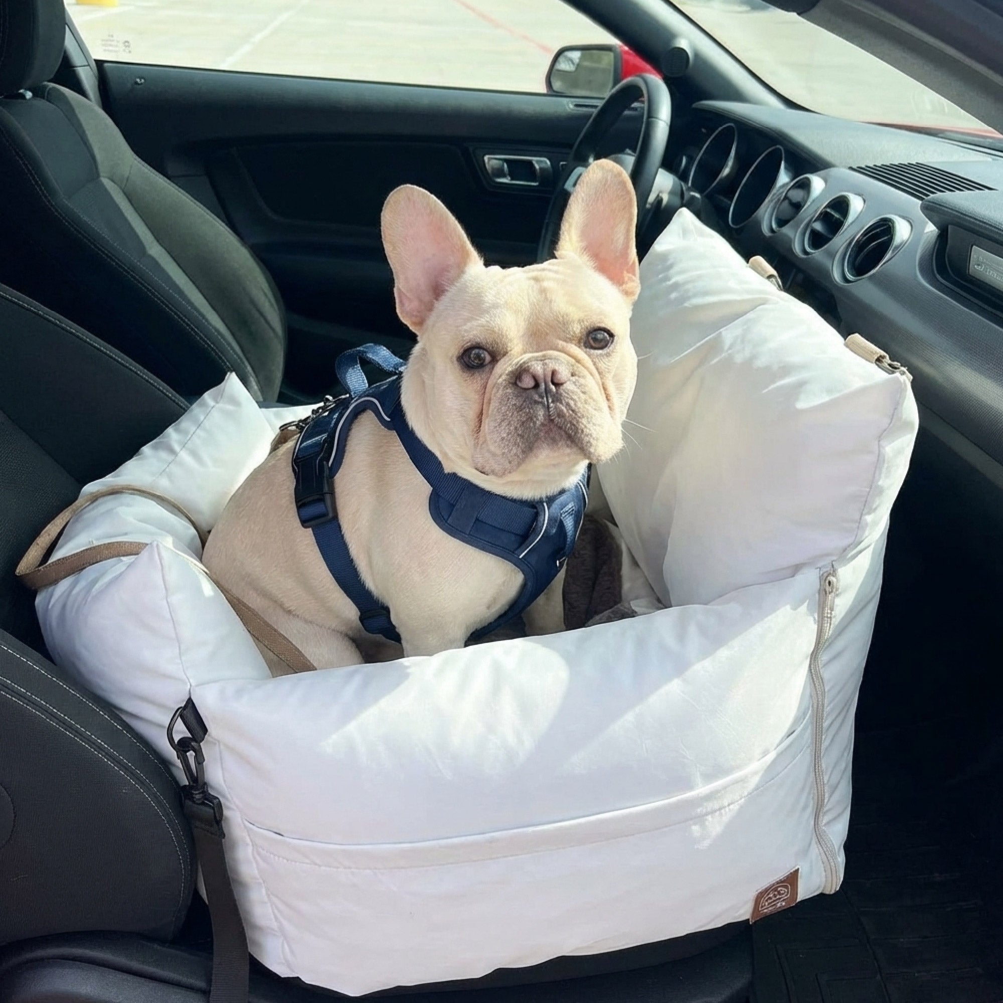 Built for Real Car Travel
