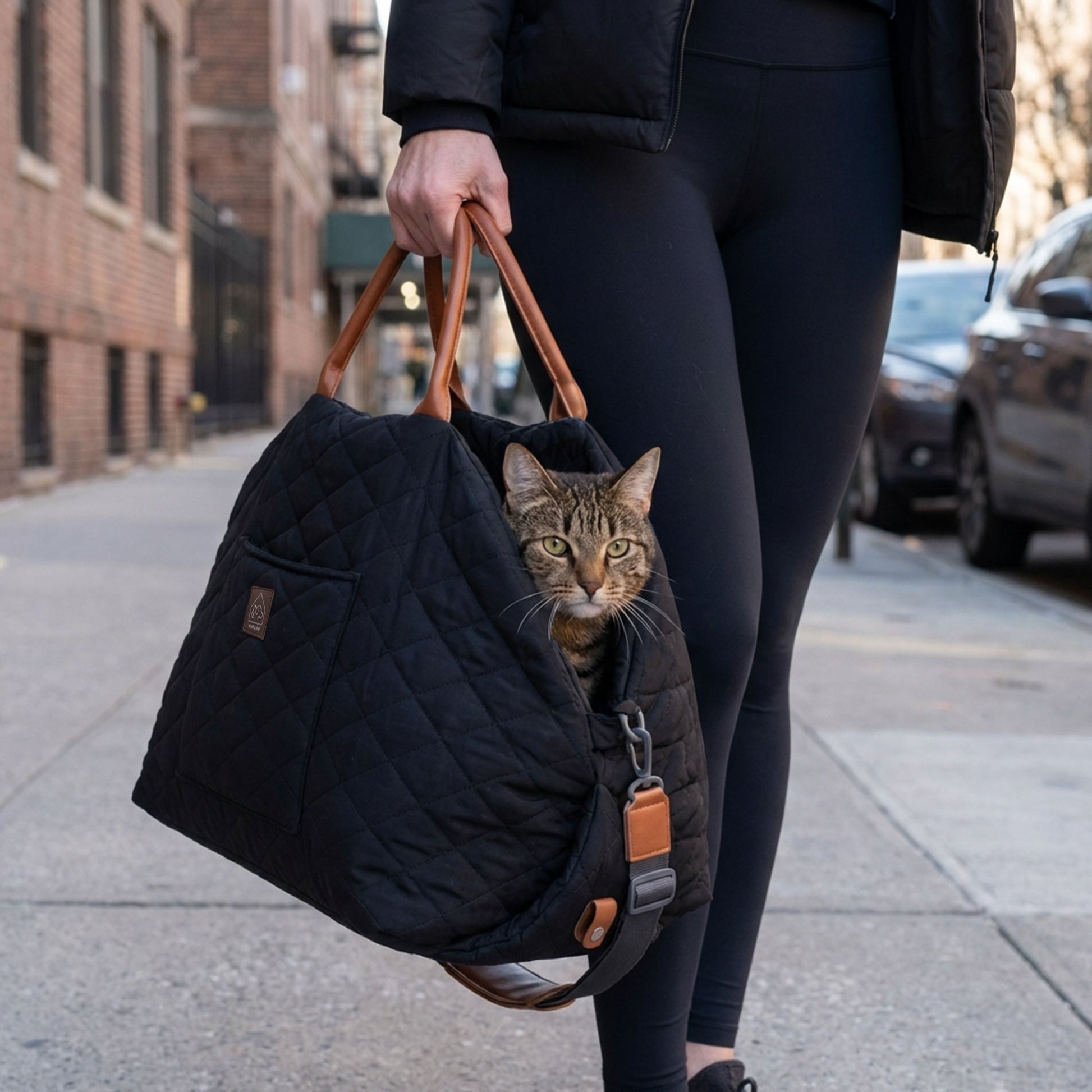 mew mew travel pet bed - 4C&D Home Furnishings