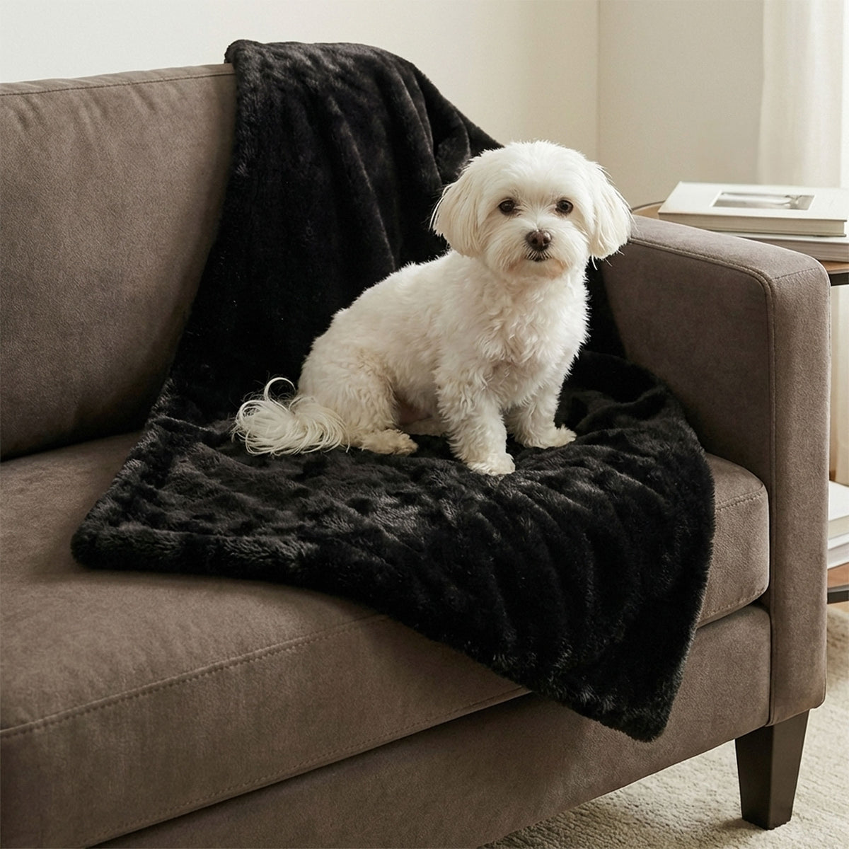 mini pixie throw - 4C&D Home Furnishings