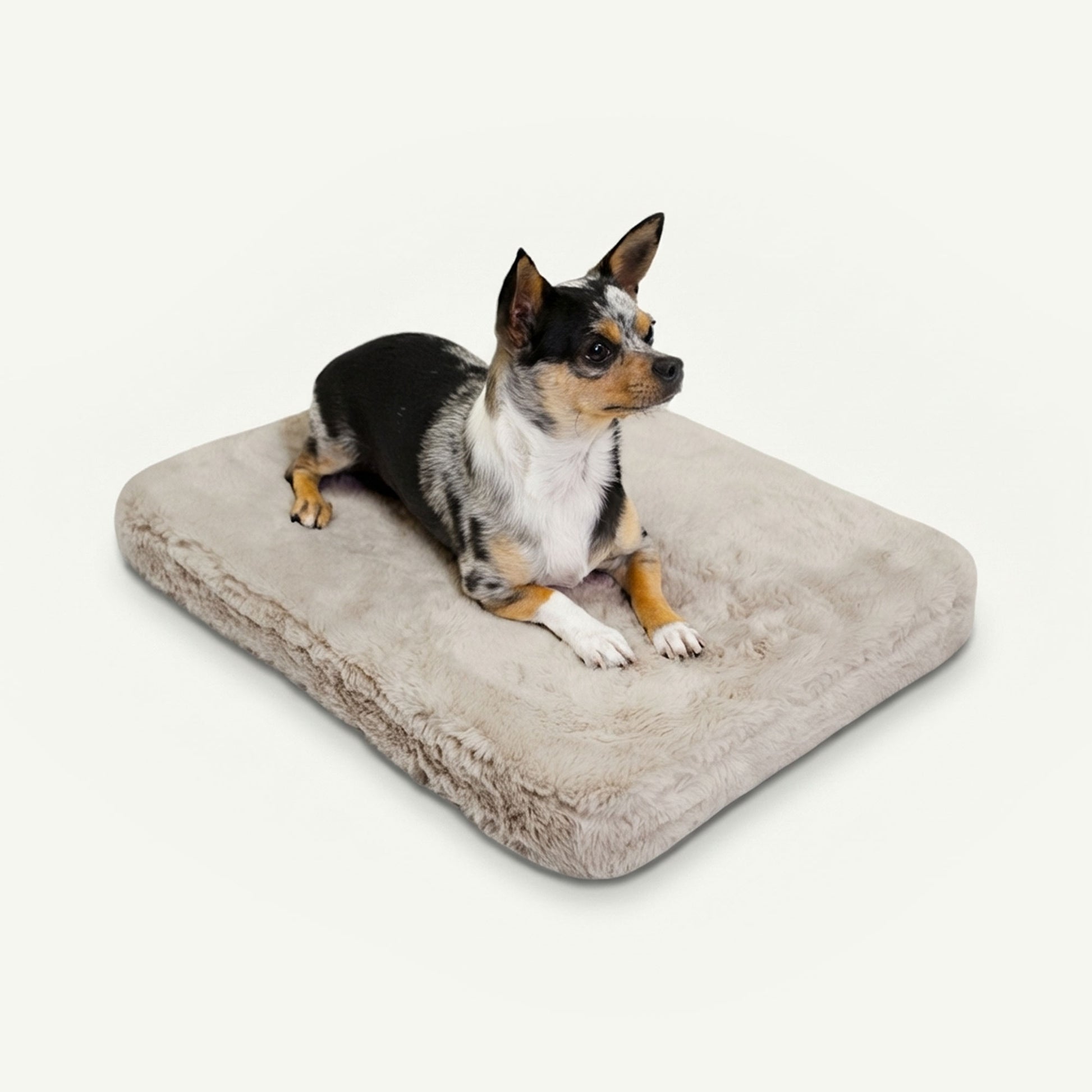 pixie pad leak-resistant dog bed - 4C&D Home Furnishings