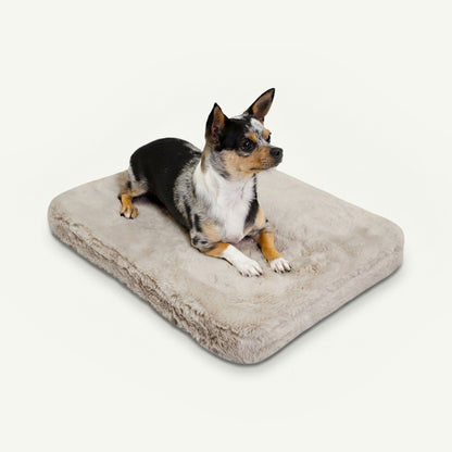 pixie pad leak-resistant dog bed - 4C&D Home Furnishings