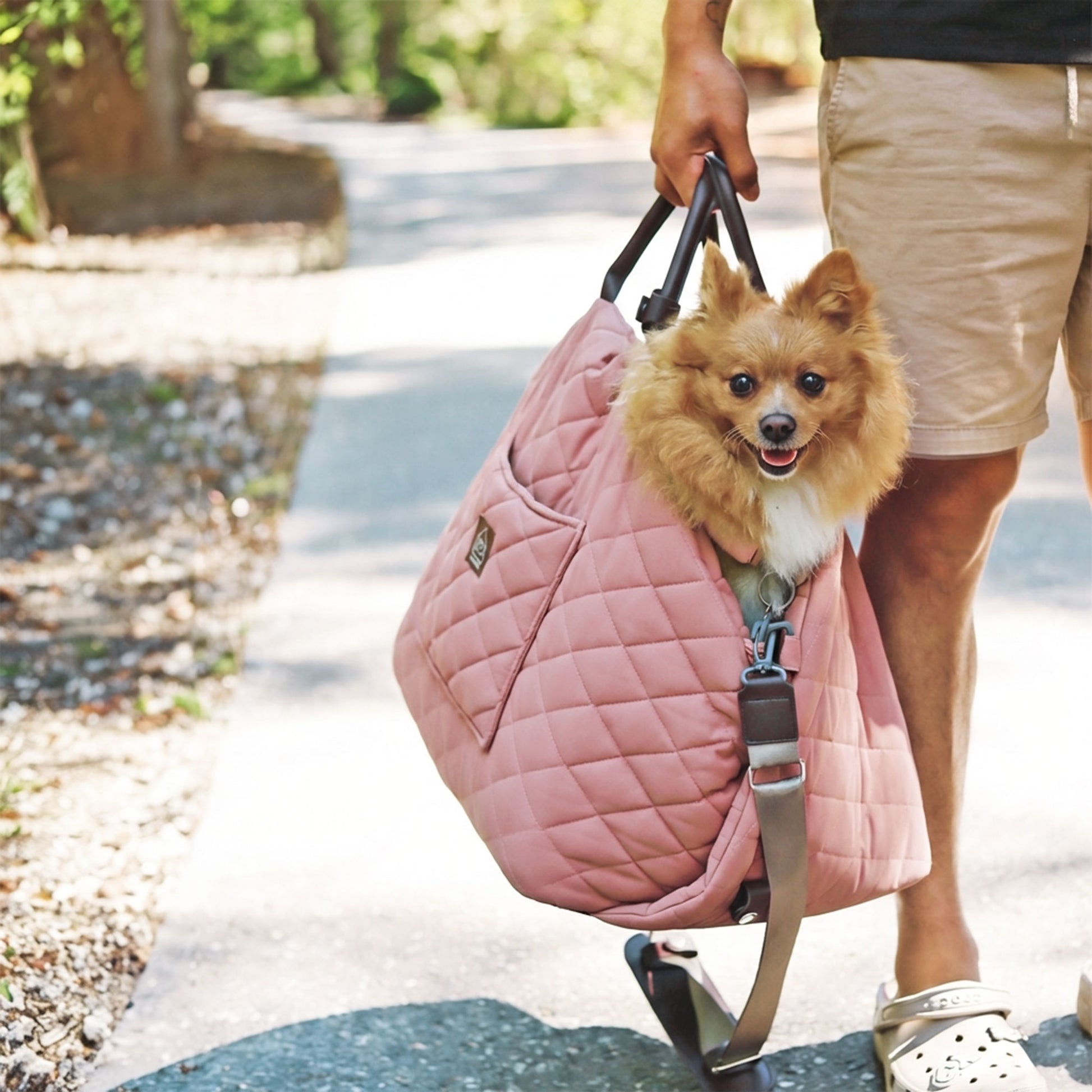 mew mew travel pet bed - 4C&D Home Furnishings