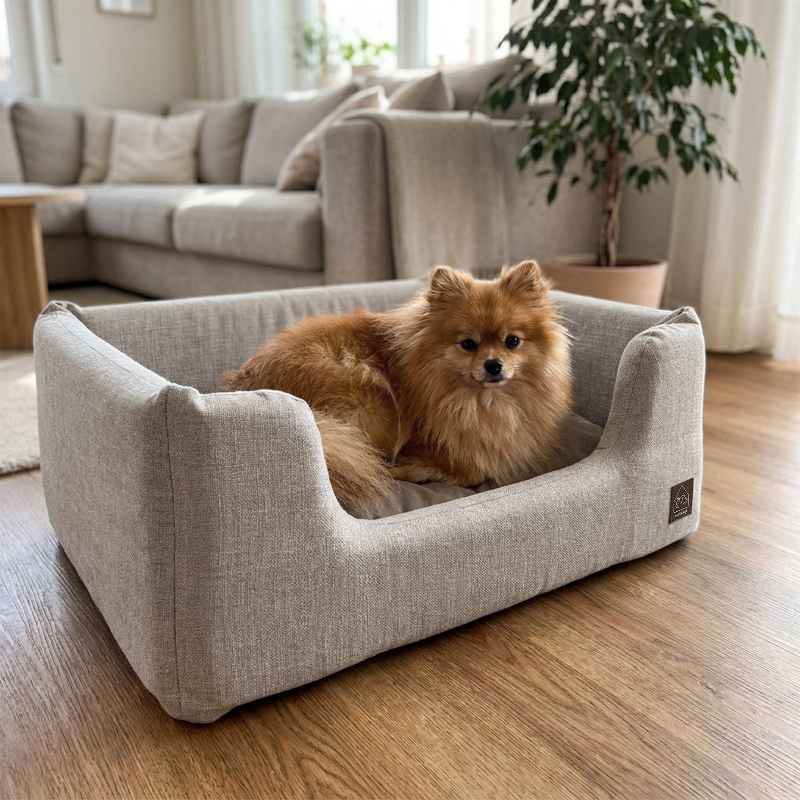 sansa modern pet bed - 4C&D Home Furnishings