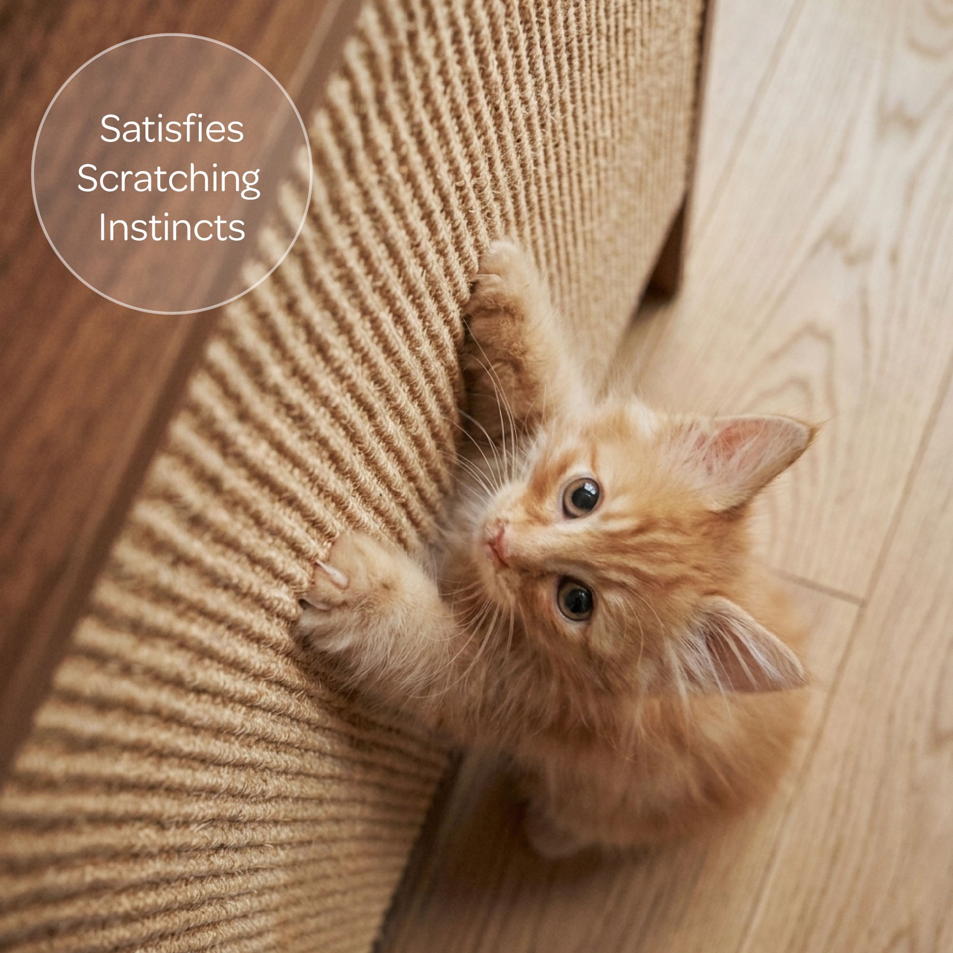 sisal mat replacement - 4C&D Home Furnishings