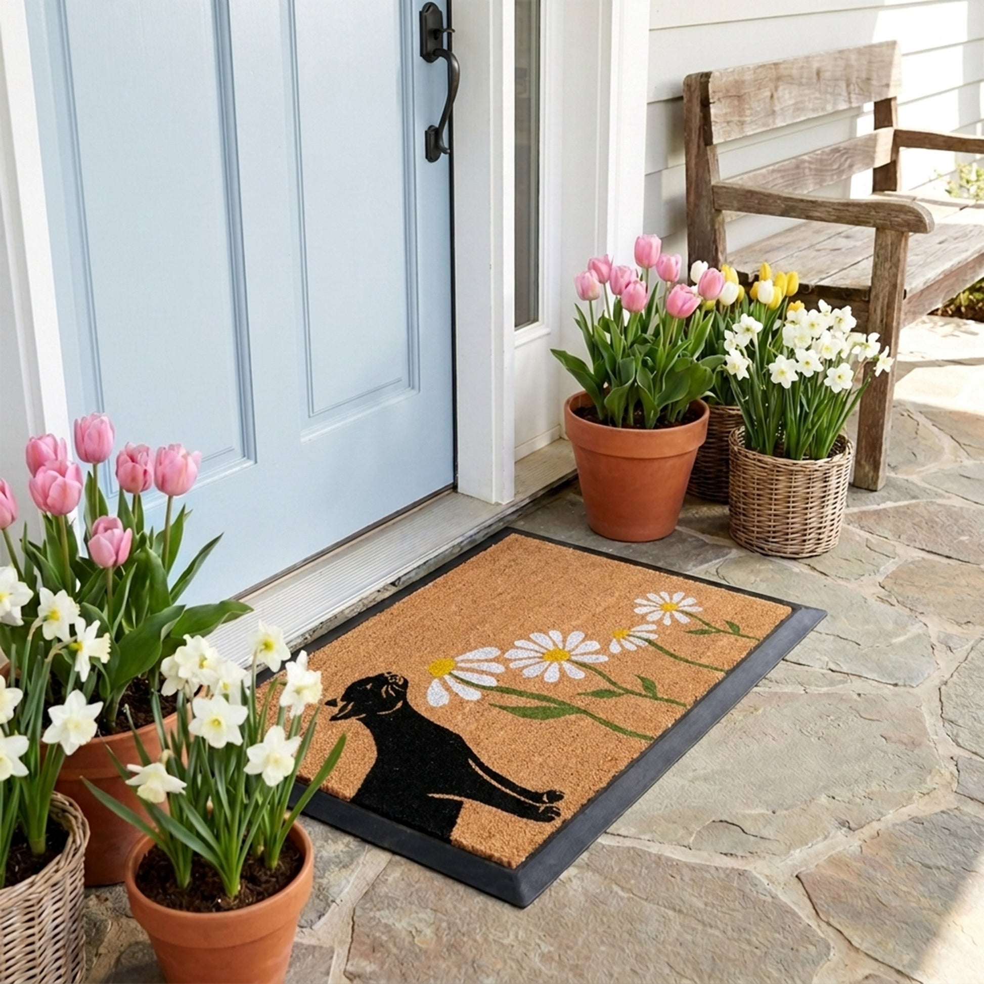 spring kitty rectangular refill - 4C&D Home Furnishings