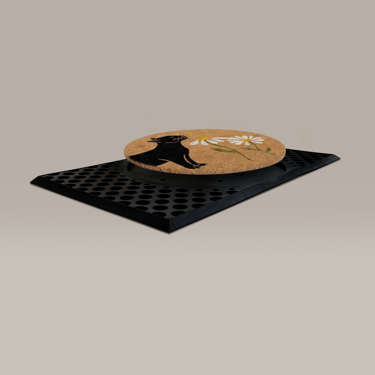 spring kitty round refill - 4C&D Home Furnishings
